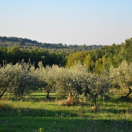 Villa Olivetta By Istrian Country Houses Barat  Kültér fotó