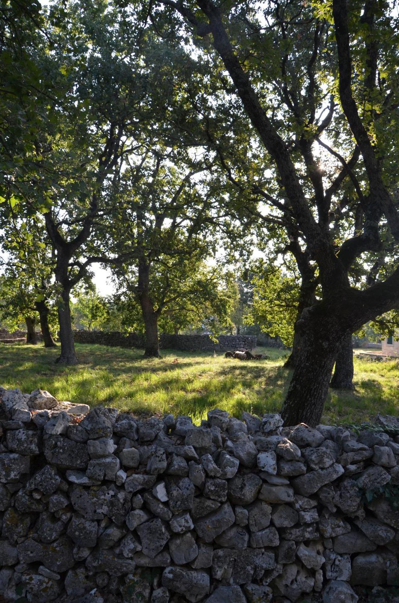 Villa Olivetta By Istrian Country Houses Barat  Kültér fotó