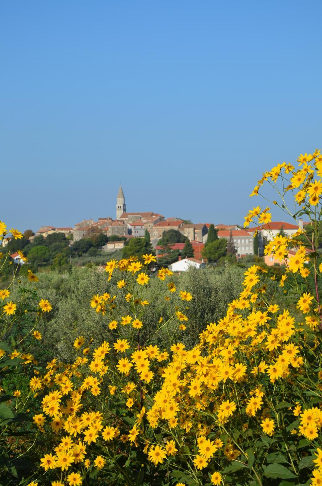 Villa Olivetta By Istrian Country Houses Barat  Kültér fotó