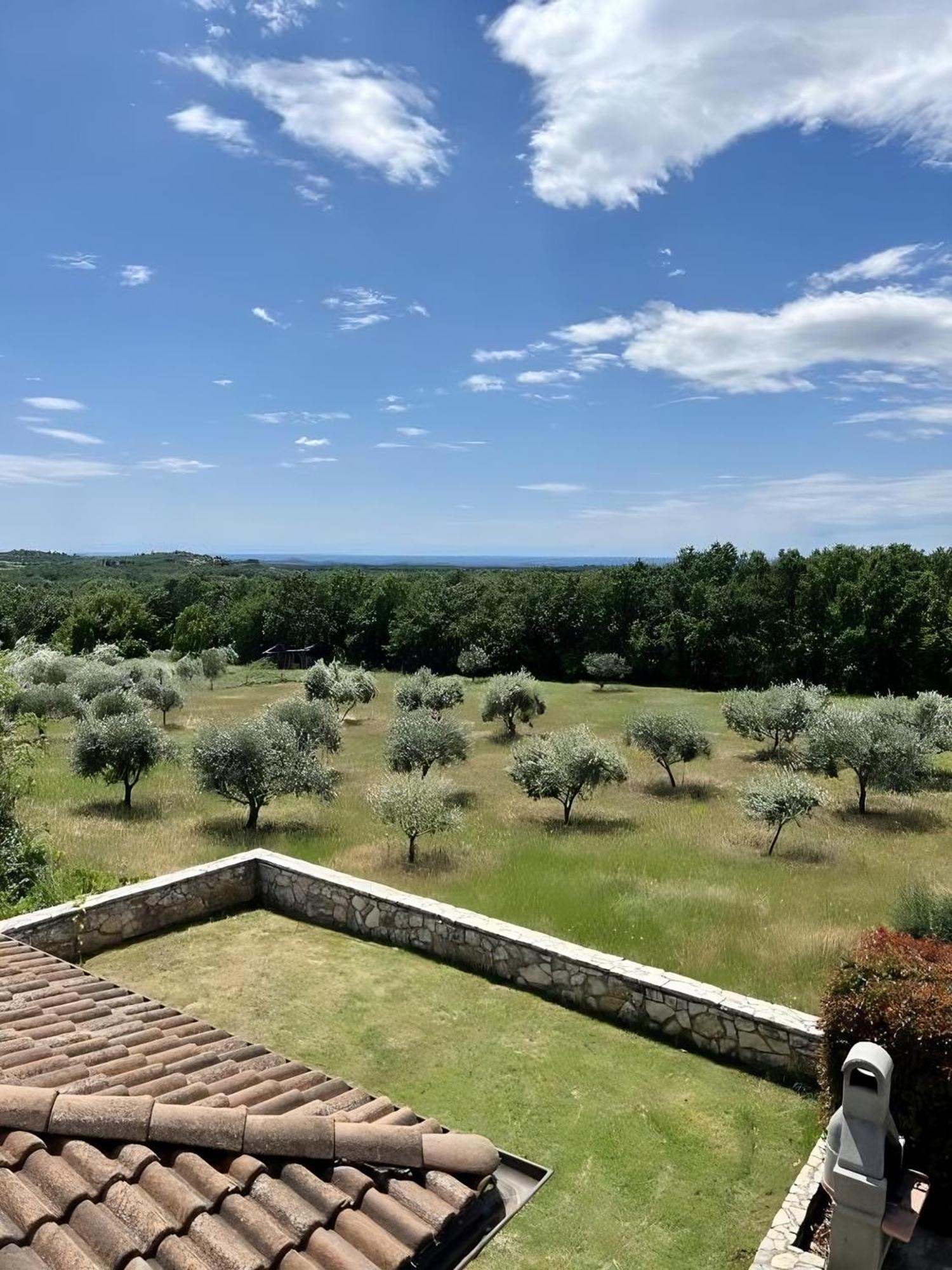 Villa Olivetta By Istrian Country Houses Barat  Kültér fotó