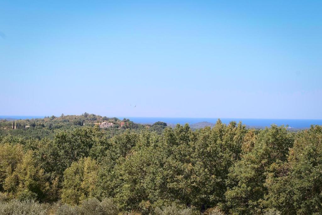 Villa Olivetta By Istrian Country Houses Barat  Kültér fotó